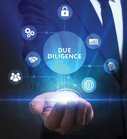 DUE DILIGENCE SERVICES – PD Garg and Company | Chartered Accountants